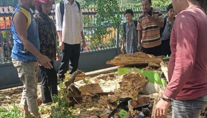 Menunggu Angkot Berujung Maut, Pelajar SMP Tewas Tertimpa Pohon Lapuk