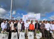 Tanam Pohon hingga Bahas Mitigasi Bencana, Utusan Khusus Presiden dan Pemkab Taput Tegaskan Komitmen Jaga Alam