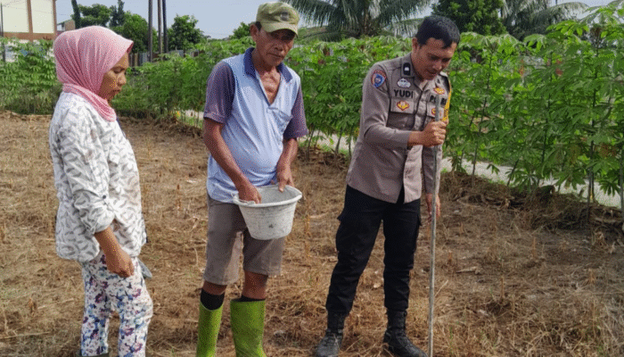 Dukung Program Ketahanan Pangan, Bhabinkamtibmas Polsek Siantar Utara Sambangi Lahan Jagung Warga