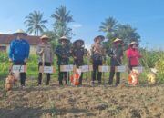 Tanam Raya Jagung Serentak 2026 Digelar di Sipoholon, Pemkab Taput Ikut Serta
