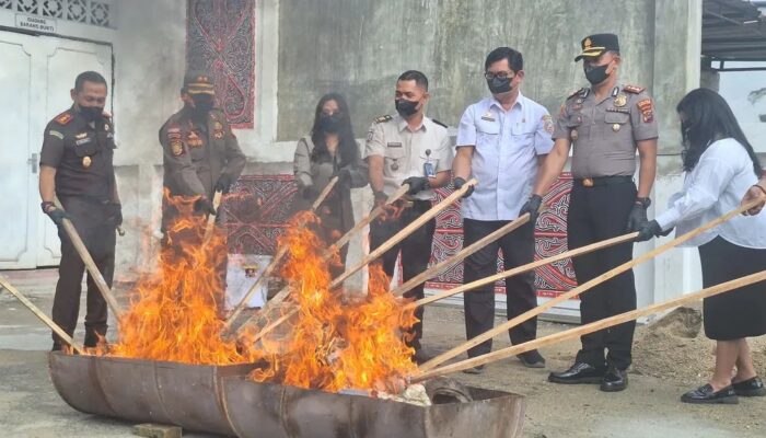 Kejari Taput Musnahkan Barang Bukti Narkotika, Dihadiri Pemkab dan Polres Taput 