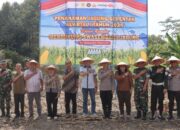 Di Lahan Nommensen, Kapolres Pematangsiantar Bersama Forkopimda Ikut Tanam Jagung