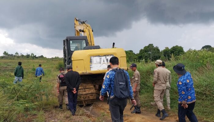 Silait-lait Disiapkan Jadi Ikon Pertanian Masa Depan Taput