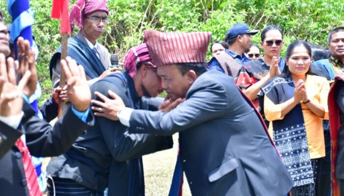 Hari Kedua Mangase Taon, Prosesi Mangalahat Horbo Memukau di Ronggur Nihuta