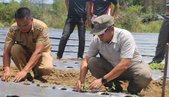 Bupati JTP Pacu Petani Milenial Sisordak, BUMDes Disiapkan Jadi Penopang Program MBG