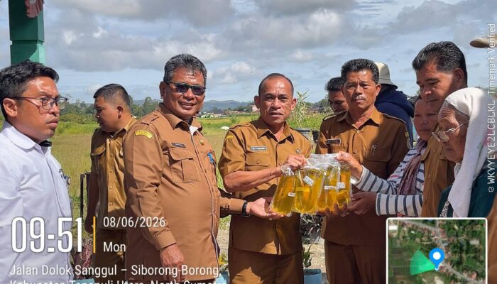 Pemkab Taput dan Bulog Salurkan 854 Ton Beras serta 170 Ribu Liter Minyak Goreng untuk 42.741 Keluarga
