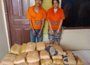 Tabrakan Bongkar Aksi Kurir Narkoba, 112 Paket Ganja Kering Digagalkan Polres Taput