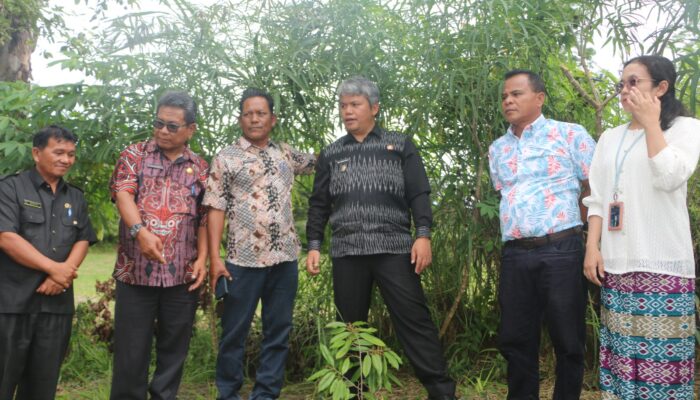 1.500 Bibit Durian Premium Disiapkan Jadi “Tabungan Masa Depan” Petani di Parmonangan