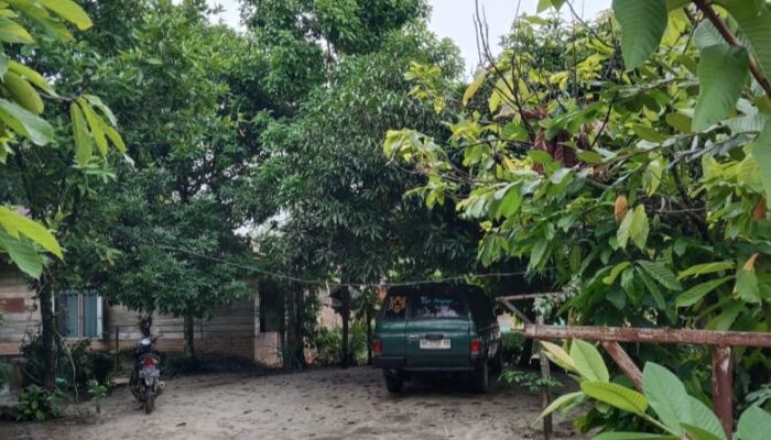 Kabel Listrik Kendor Resahkan Warga Tanah Jawa, PLN Dinilai Lamban Tanggapi Keluhan Masyarakat