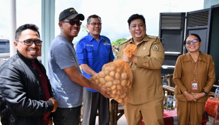 Bupati Samosir Salurkan 5 Ton Bibit Kentang, Minta Petani Buktikan Hasilnya