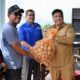 Bupati Samosir Salurkan 5 Ton Bibit Kentang, Minta Petani Buktikan Hasilnya
