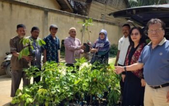 SPs USU Bantu Pemulihan Aceh Tamiang Lewat Penyaluran Bibit Tanaman Buah