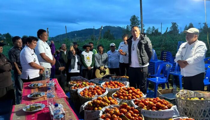 Bupati Taput Apresiasi Keberhasilan BUMDes Sisordak Jadi Inspirasi bagi Desa Lain