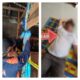 Sempat Terdengar Menangis, Sarianti Ditemukan Tewas di Kamar Rumah Simarsayang
