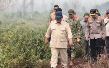 Pengganti Waterbombing, Prabowo Minta Produksi “Ubi Bombing” untuk Padamkan Karhutla