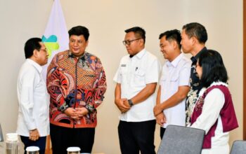 Pemkab Samosir Kejar Rp83,4 Miliar ke Pemerintah Pusat untuk Kesehatan, Wamenkes Beri Sinyal Positif