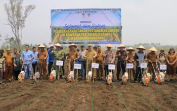 Sijaba Disiapkan Jadi Sentra Pertanian Modern, 10 Hektare Jagung Mulai Ditanam