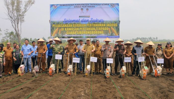 Sijaba Disiapkan Jadi Sentra Pertanian Modern, 10 Hektare Jagung Mulai Ditanam