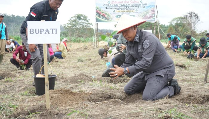 2,2 Juta Bibit Kopi Arabika Menghijaukan Tapanuli Utara, Target 19.252 Hektare di 2026